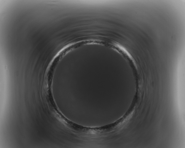 X0000086260923200704051259