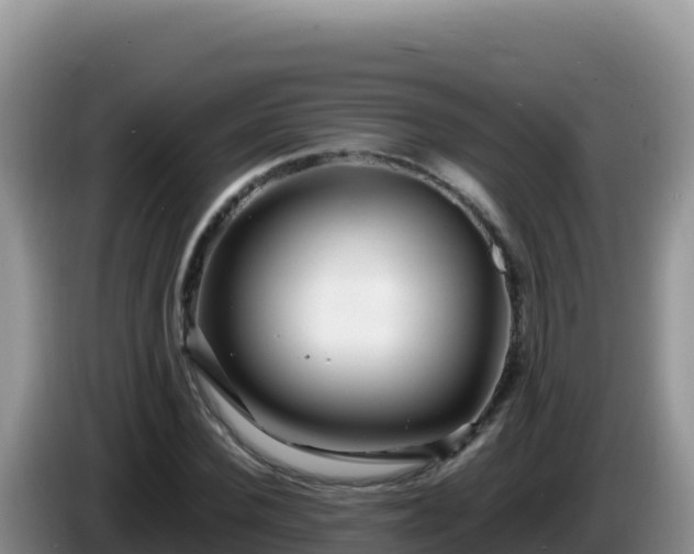 X0000086260924200704051259