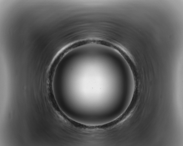 X0000086260926200704051259