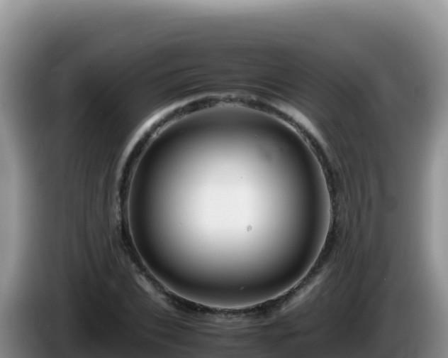 X0000086260927200704051259
