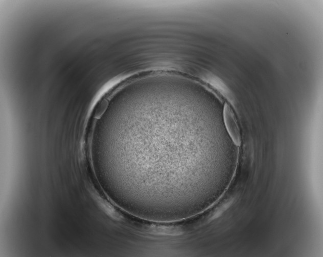 X0000086260928200704051259