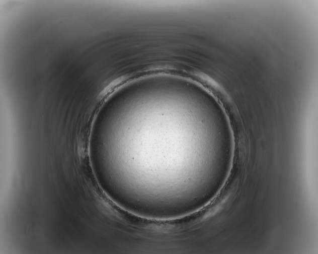 X0000086260929200704051259