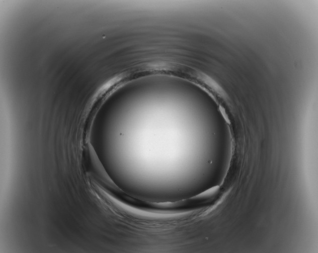 X0000086260930200704051259