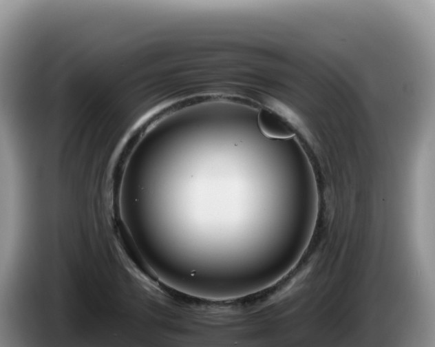 X0000086260931200704051259