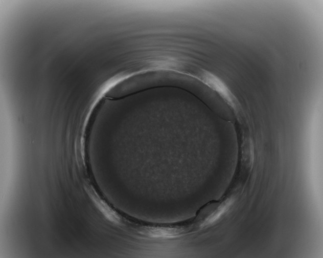 X0000086260932200704051259