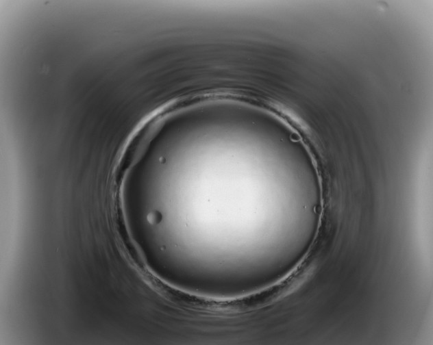 X0000086260933200704051259