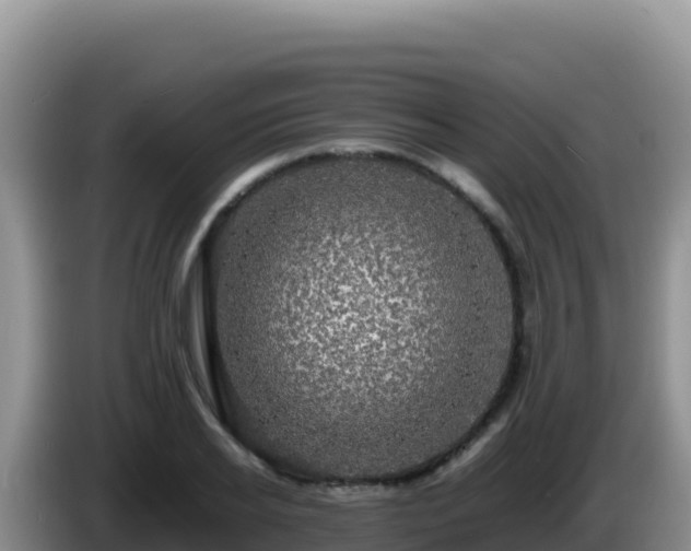 X0000086260934200704051259
