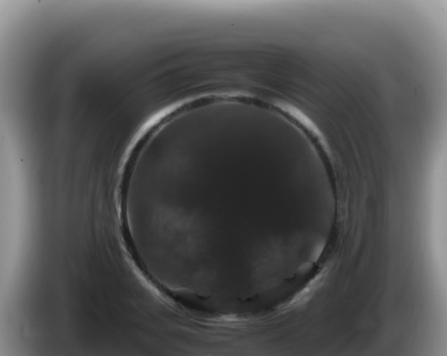 X0000086260935200704051259