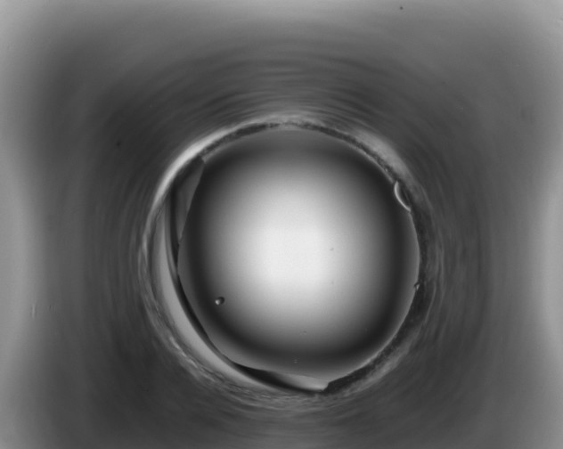 X0000086260936200704051259