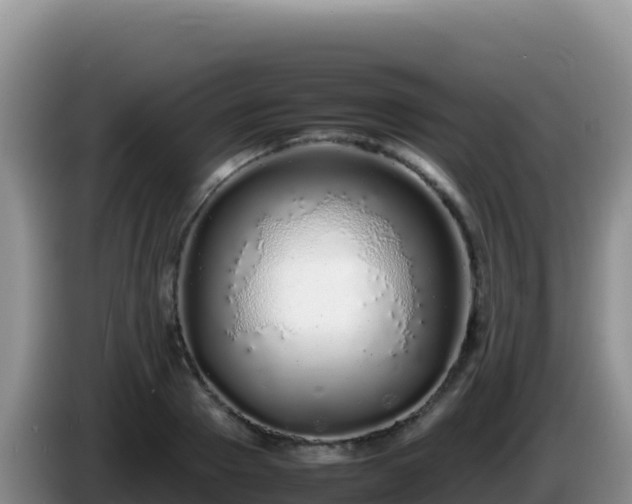 X0000086260937200704051259