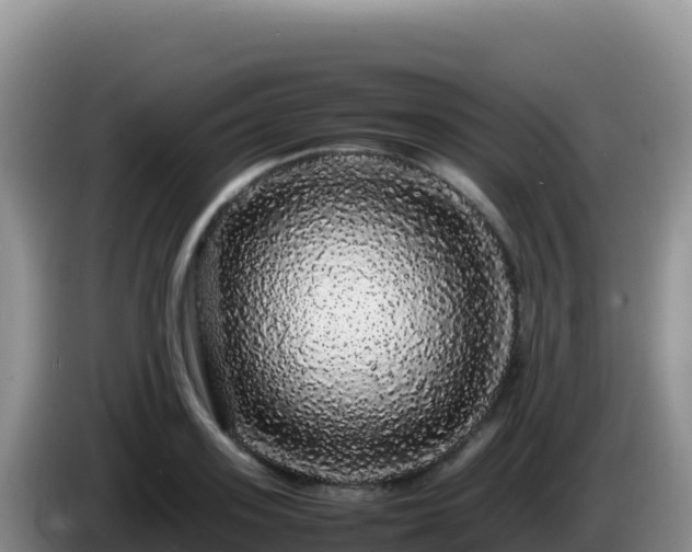 X0000086260939200704051259