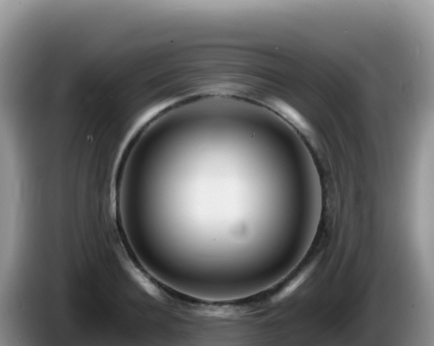 X0000086260940200704051259