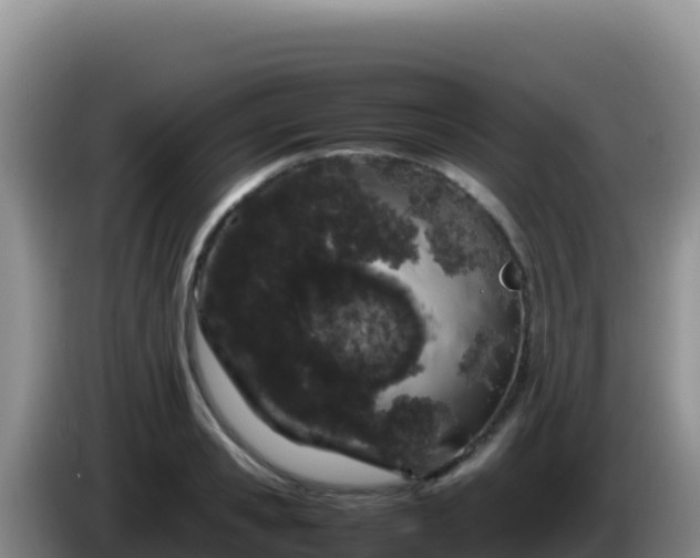 X0000086260941200704051259