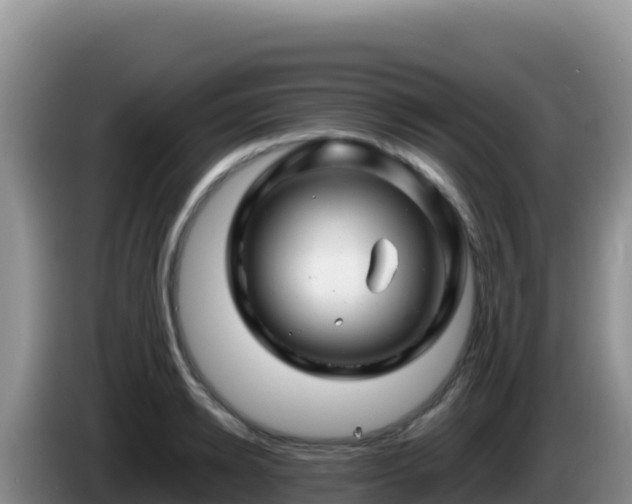 X0000086260942200704051259