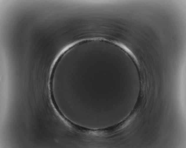 X0000086260943200704051259