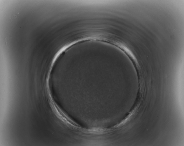 X0000086260944200704051259