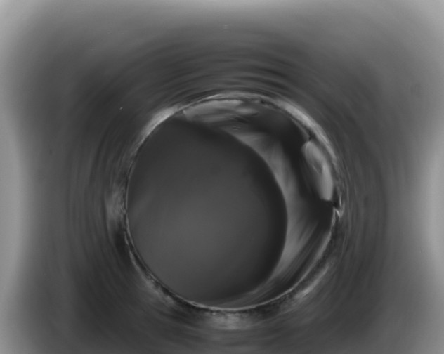 X0000086260945200704051259