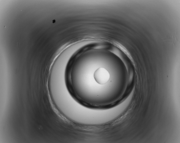 X0000086260946200704051259