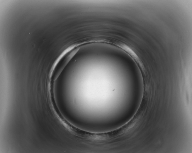 X0000086260947200704051259