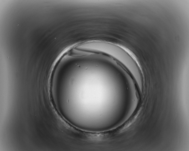 X0000086260949200704051259