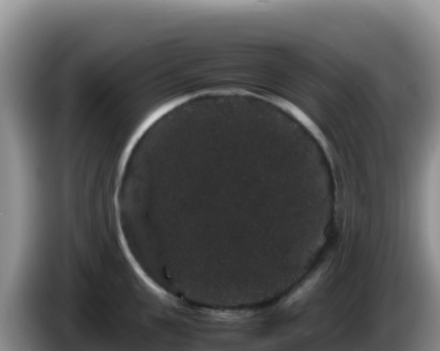 X0000086260951200704051259