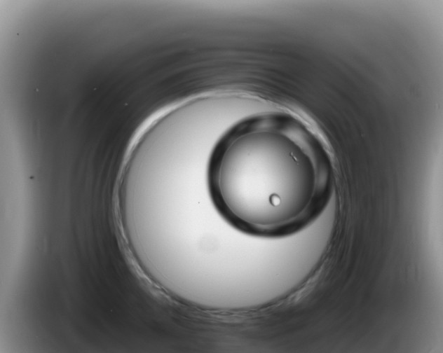 X0000086260952200704051259