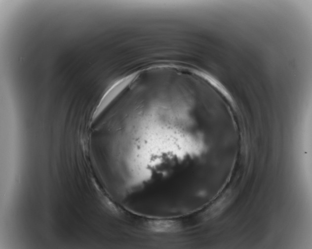 X0000086260953200704051259