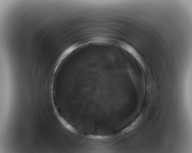 X0000086260954200704051259