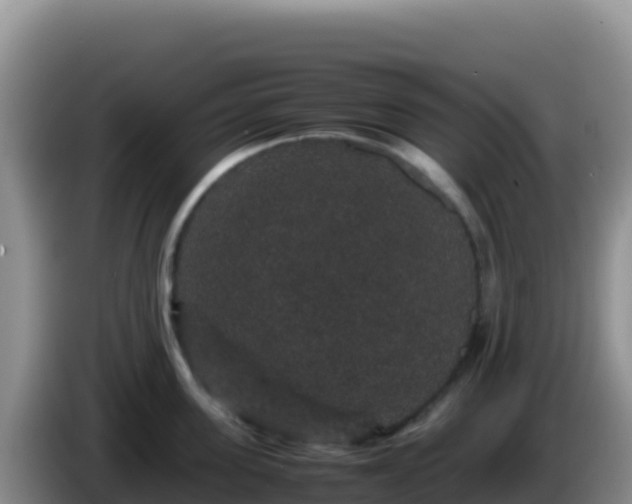 X0000086260955200704051259