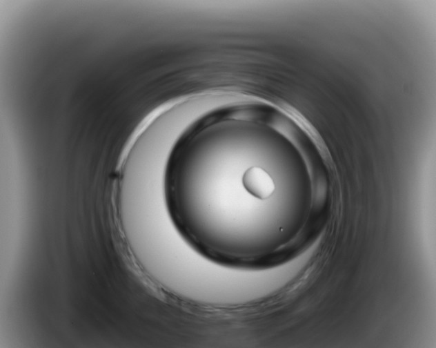 X0000086260956200704051259
