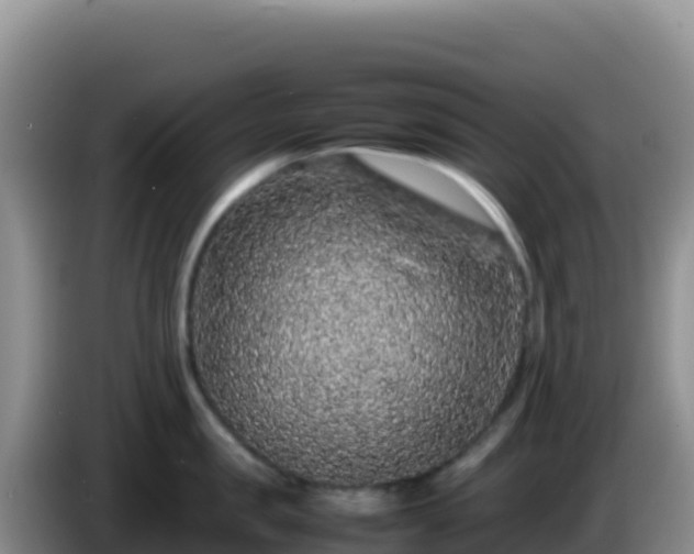 X0000086260957200704051300