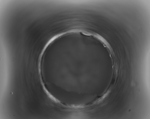 X0000086260958200704051300