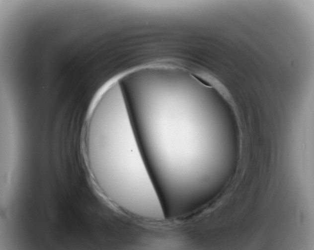 X0000086260960200704051300