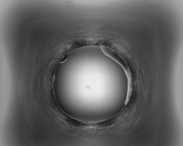 X0000086260961200704051259