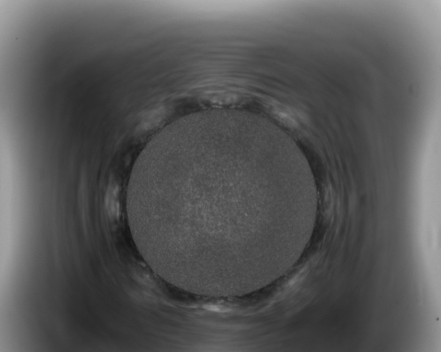 X0000086260962200704051259