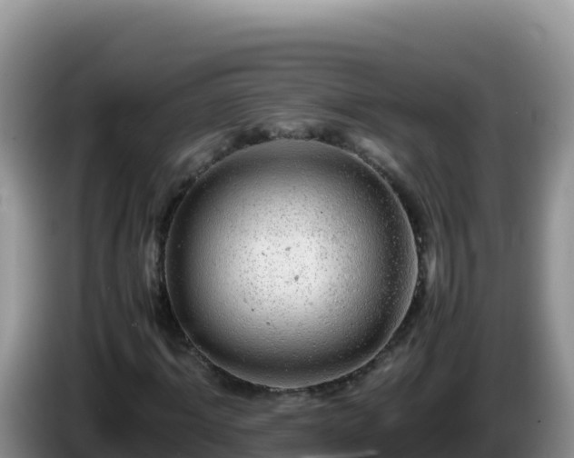 X0000086260964200704051259