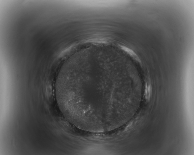 X0000086260966200704051259