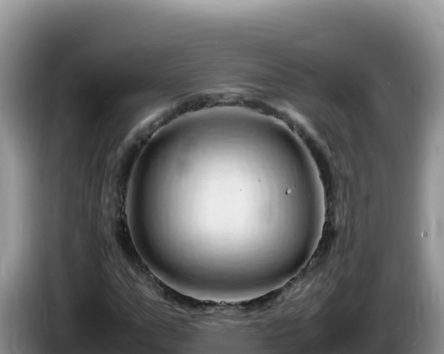 X0000086260967200704051259