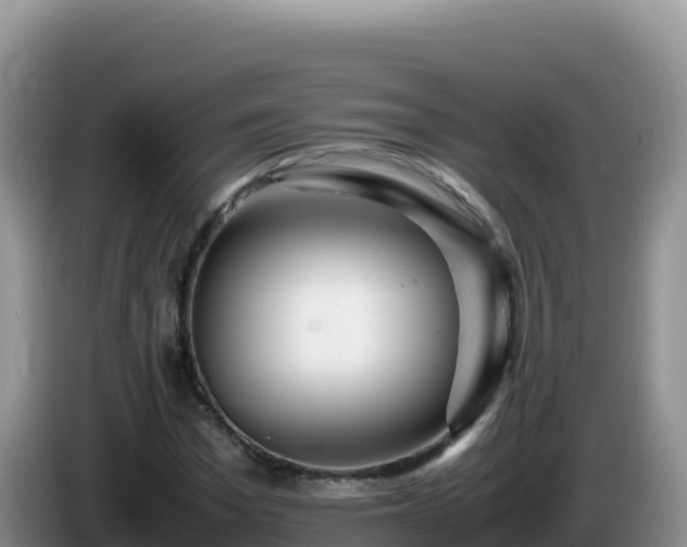 X0000086260969200704051259