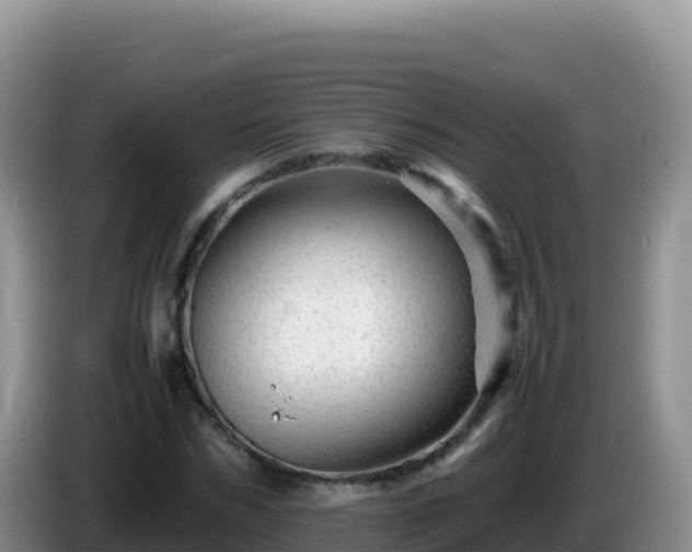 X0000086260970200704051259