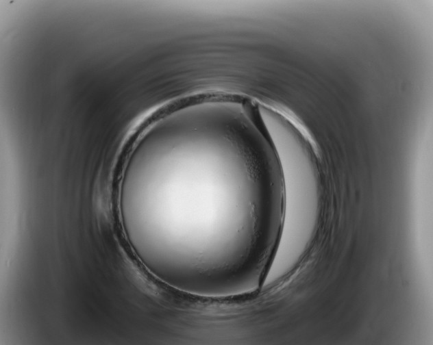 X0000086260972200704051259