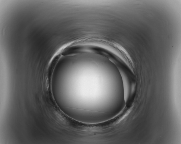X0000086260973200704051259