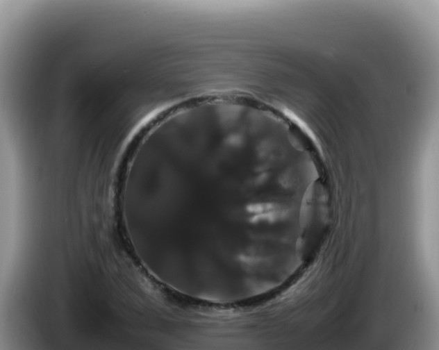 X0000086260975200704051259