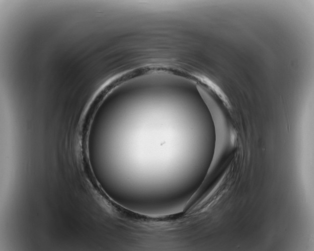 X0000086260976200704051259