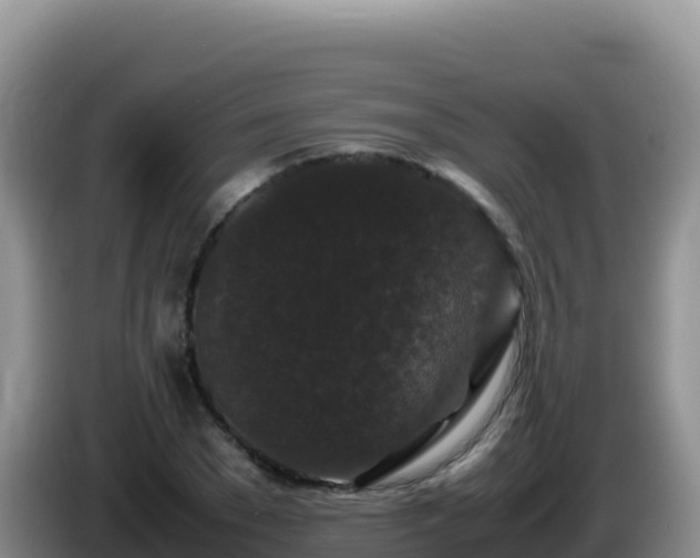 X0000086260977200704051259