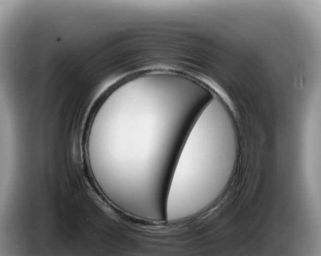 X0000086260980200704051259