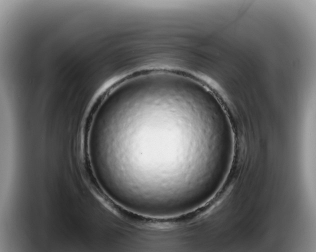 X0000086260982200704051259