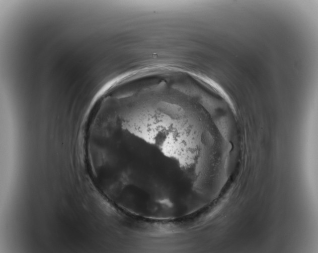 X0000086260983200704051259