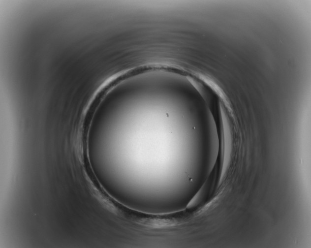 X0000086260984200704051259