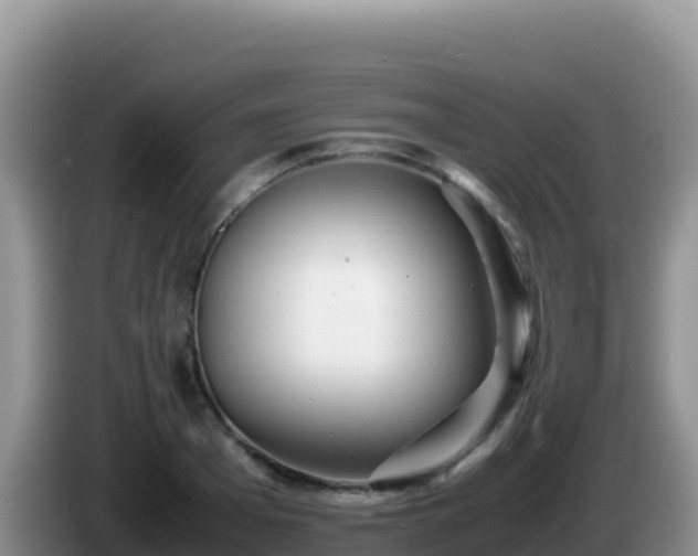 X0000086260985200704051259